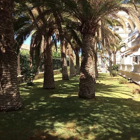 With Terrace In Playa De Americas Apartment *
